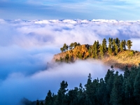 Wokół Pico de Las Nieves
